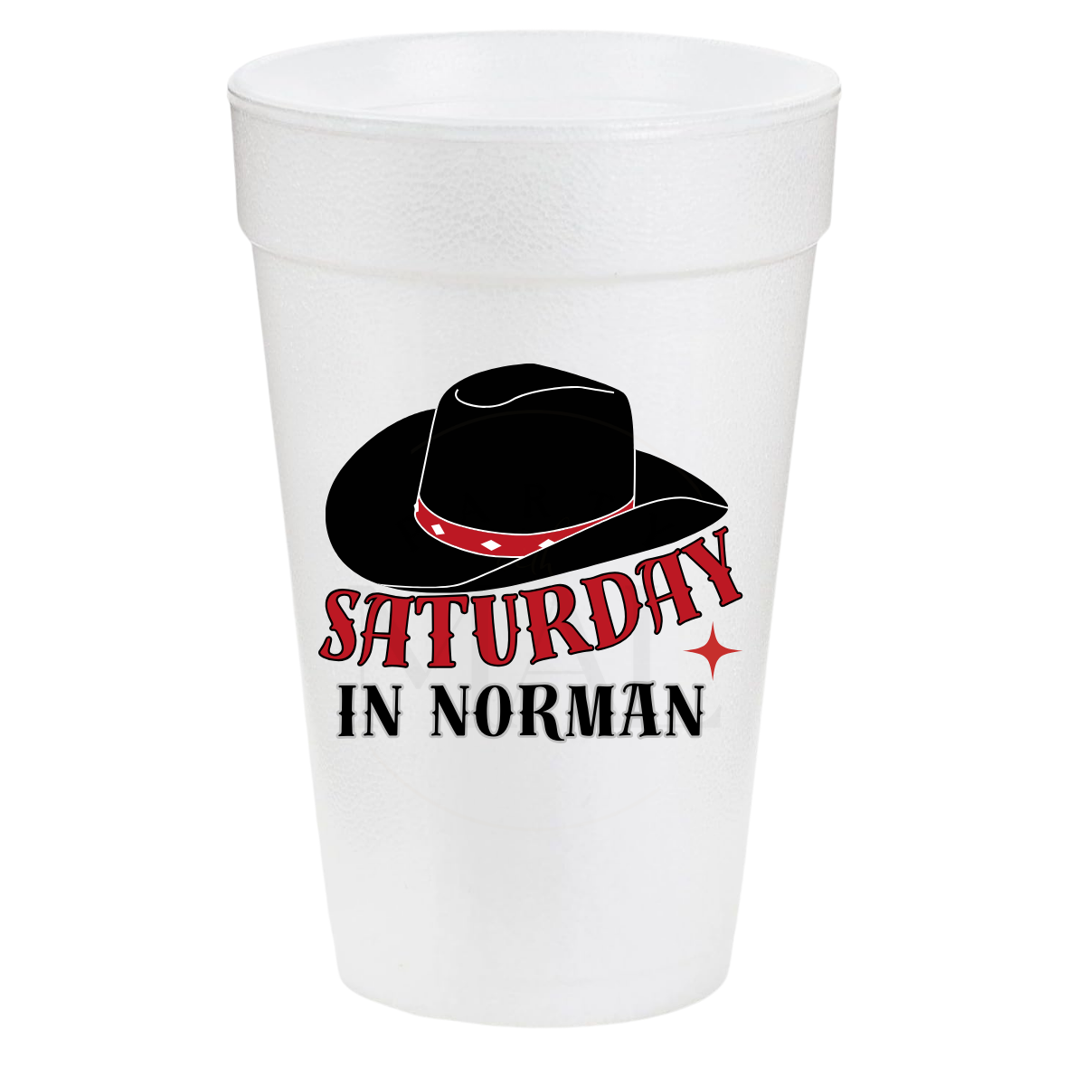 Saturday in Norman 20oz Cups