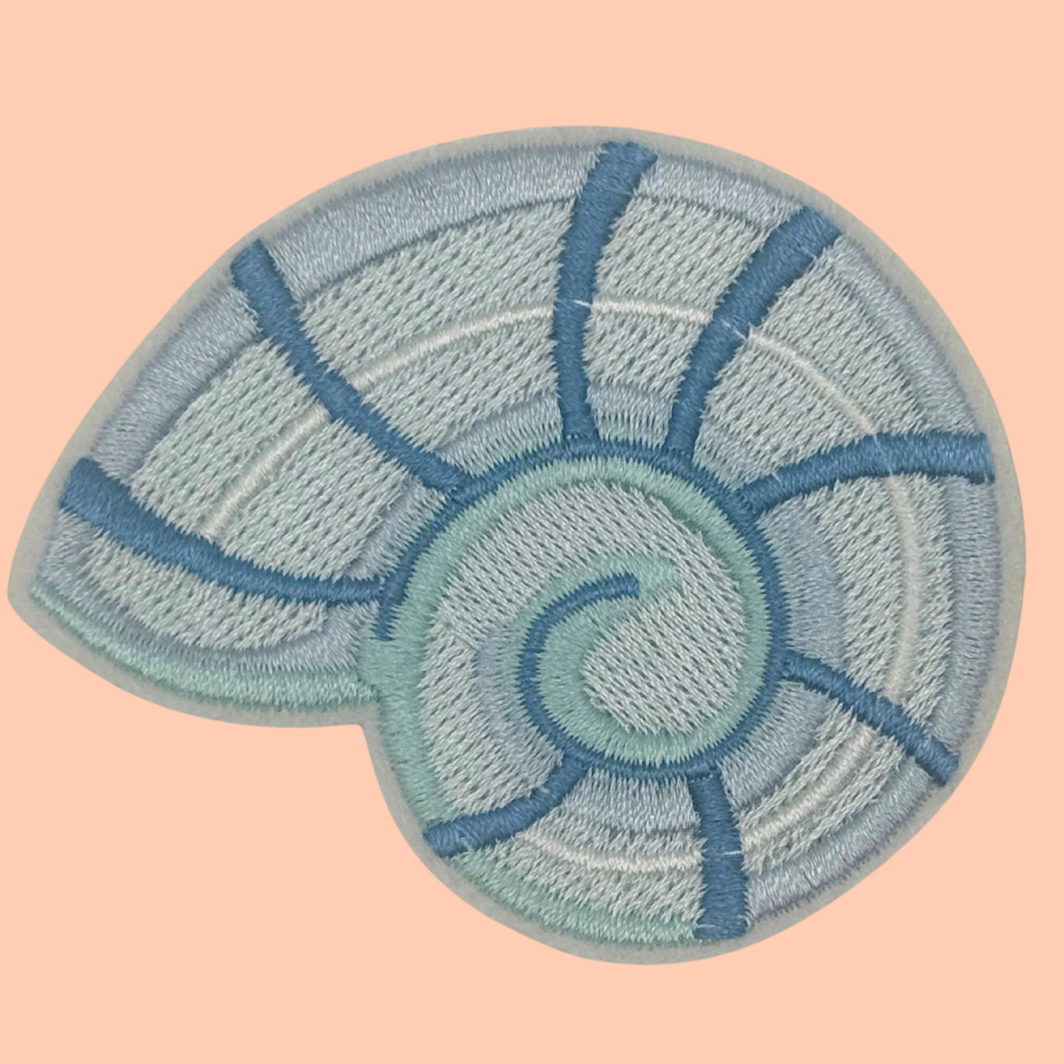 Coastal Snail Shell