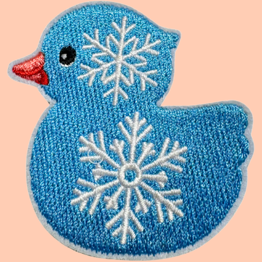 Winter Duck