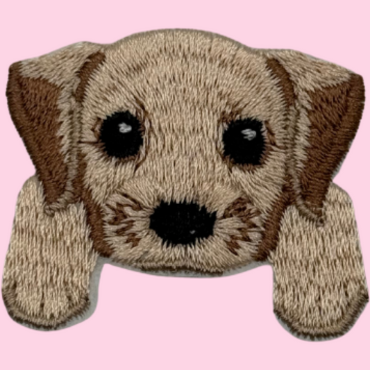 Dog Eleven