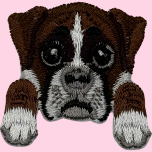 Dog Twelve